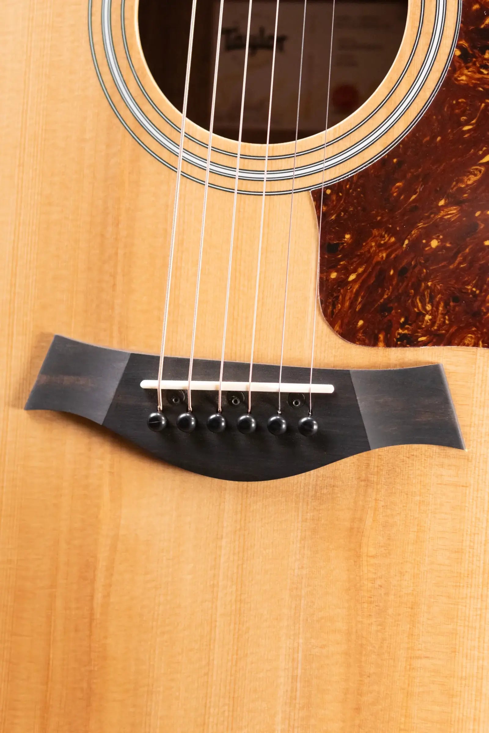 Taylor 214ce Grand Auditorium Acoustic/Electric Guitar with Structured Gig Bag