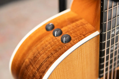 Taylor 214ce-K DLX Grand Auditorium Acoustic/Electric Guitar with Hardshell Case - Factory Demo