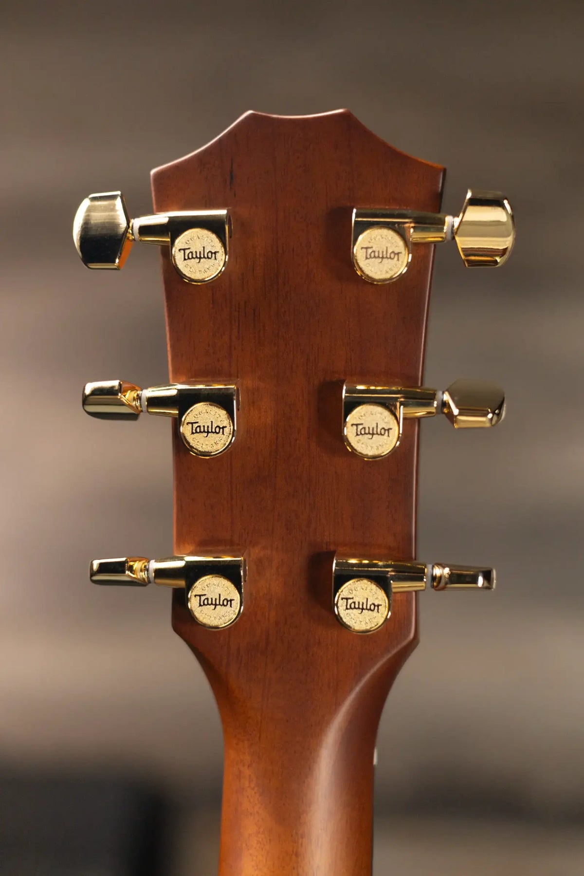 Taylor 214ce-K DLX Special Edition Grand Auditorium Acoustic/Electric Guitar - Honeyburst with Hardshell Case