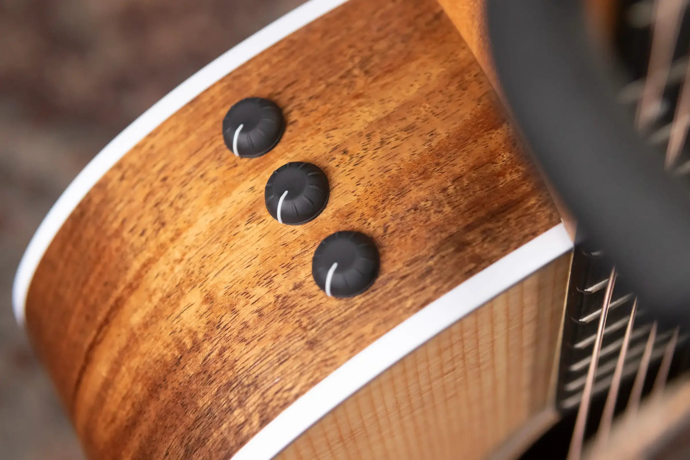 Taylor 214ce-K Grand Auditorium Acoustic/Electric Guitar with Gig Bag