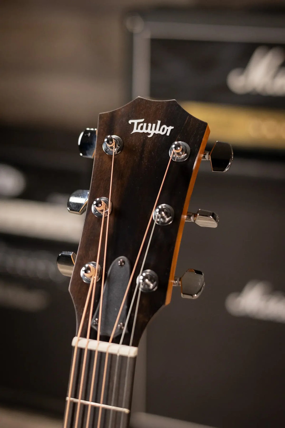 Taylor 214ce-K Grand Auditorium Acoustic/Electric Guitar with Gig Bag
