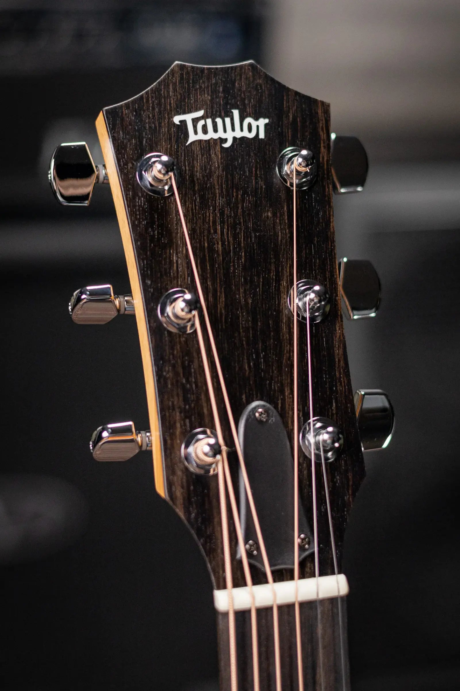 Taylor 214ce-K Grand Auditorium Acoustic/Electric Guitar with Gig Bag