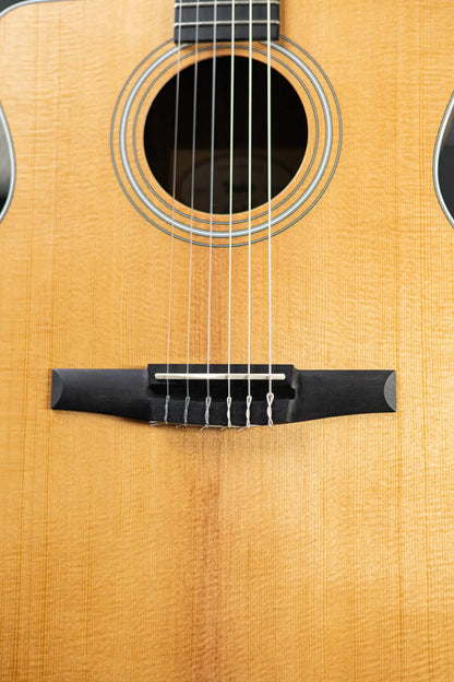 Taylor 214ce-N Left-Handed Nylon Grand Auditorium Acoustic/Electric Guitar with Gig Bag