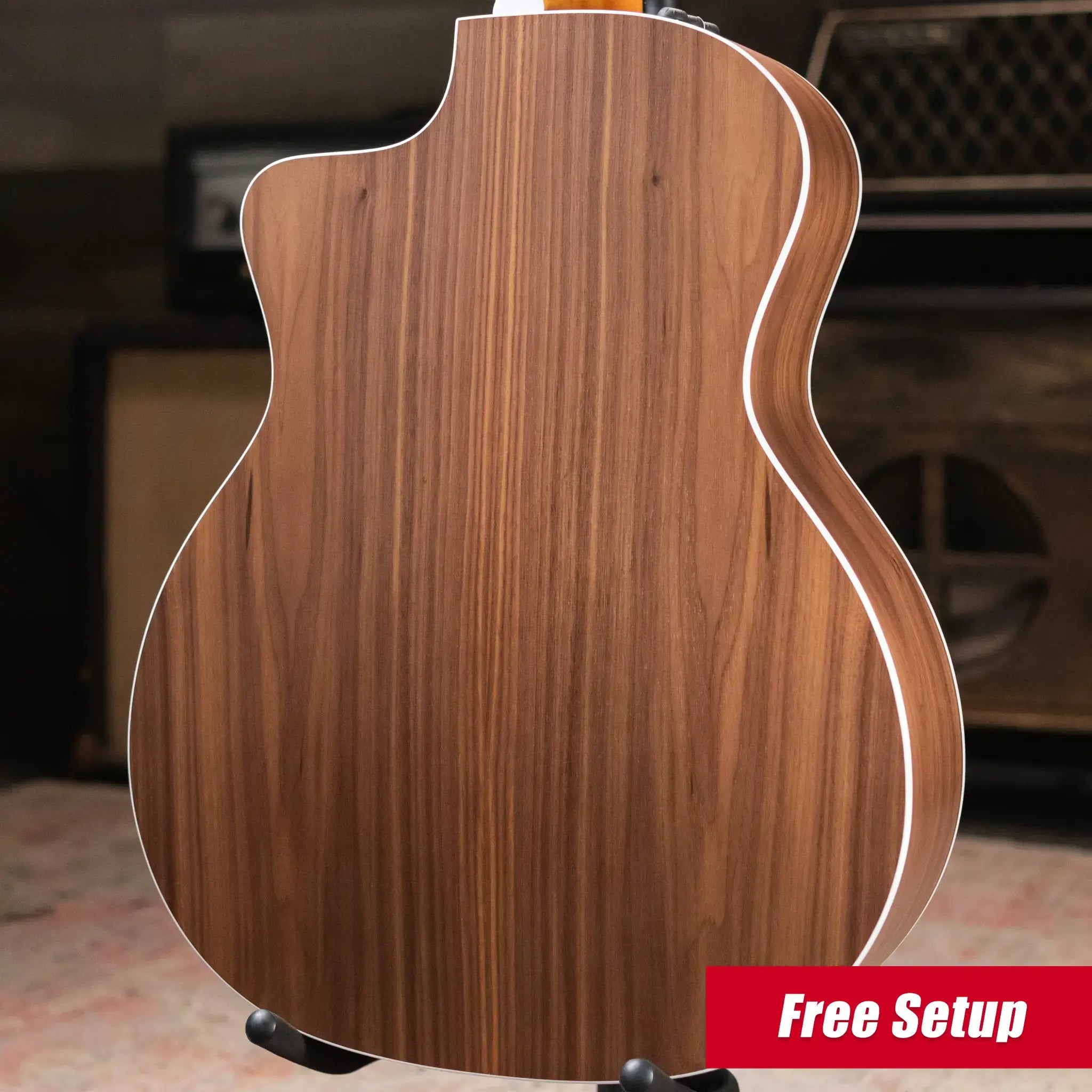 Taylor 214ce-N Nylon Grand Auditorium Acoustic/Electric Guitar with Gig Bag