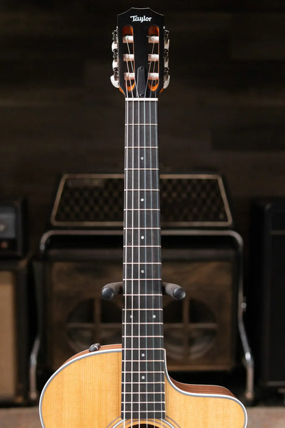 Taylor 214ce-N Nylon Grand Auditorium Acoustic/Electric Guitar with Gig Bag