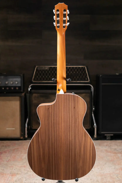 Taylor 214ce-N Nylon Grand Auditorium Acoustic/Electric Guitar with Gig Bag