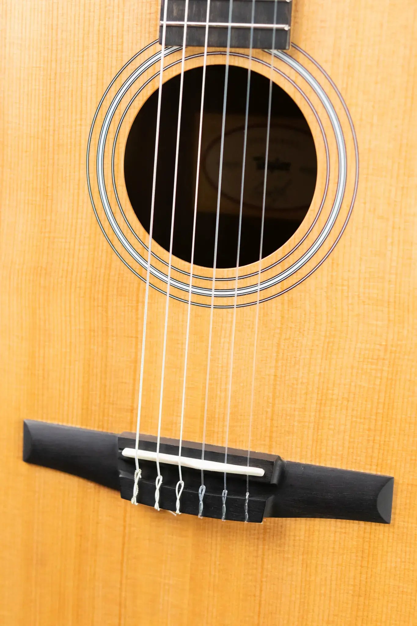 Taylor 214ce-N Nylon Grand Auditorium Acoustic/Electric Guitar with Gig Bag