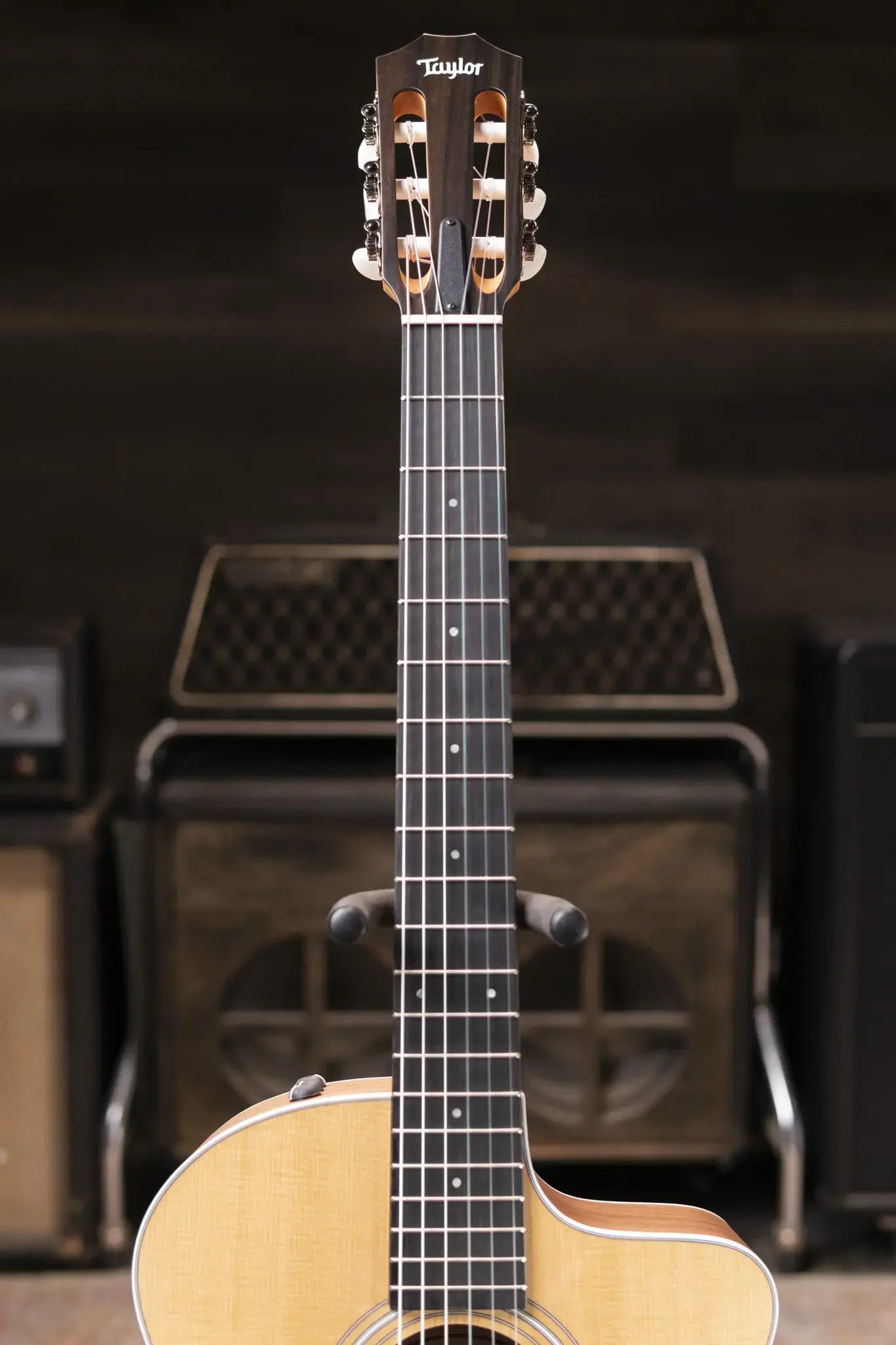 Taylor 214ce-N Nylon Grand Auditorium Acoustic/Electric Guitar with Gig Bag