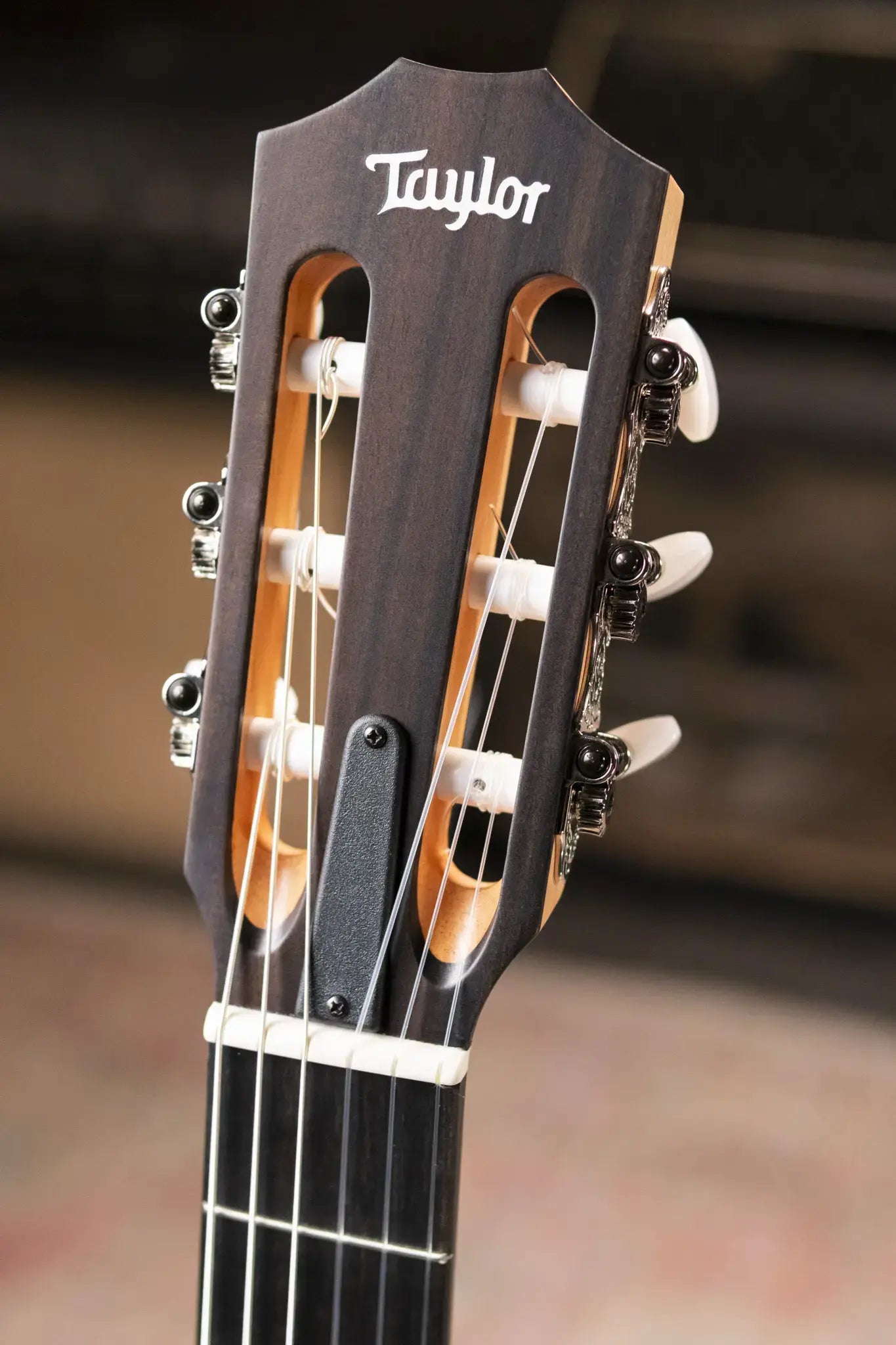 Taylor 214ce-N Nylon Grand Auditorium Acoustic/Electric Guitar with Gig Bag