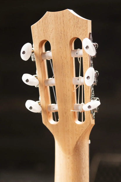 Taylor 214ce-N Nylon Grand Auditorium Acoustic/Electric Guitar with Gig Bag