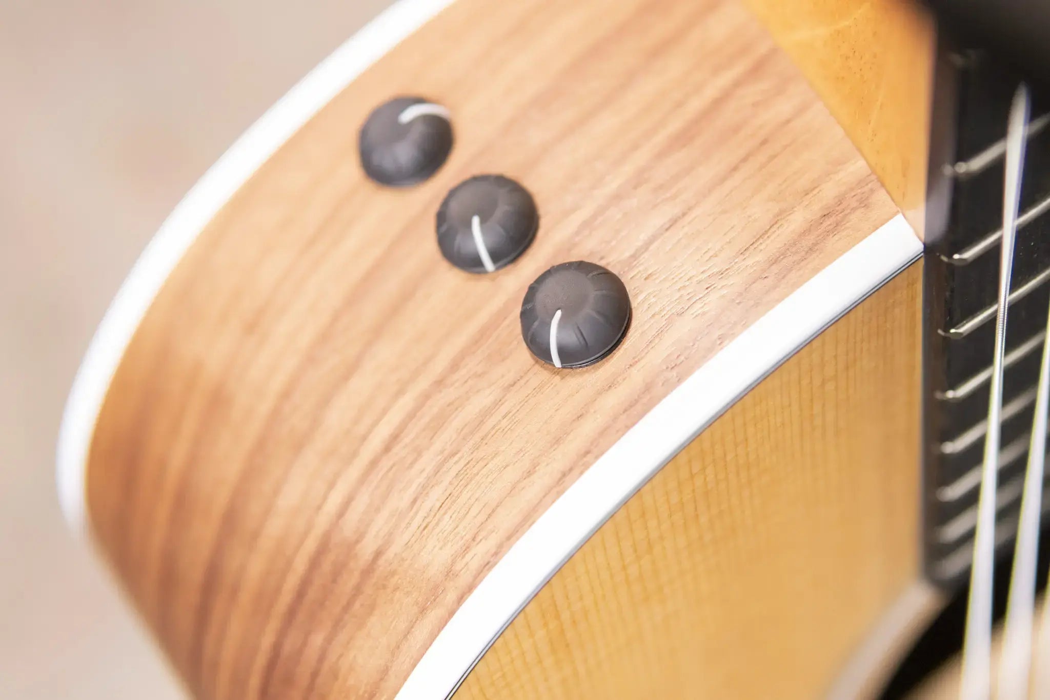 Taylor 214ce-N Nylon Grand Auditorium Acoustic/Electric Guitar with Gig Bag