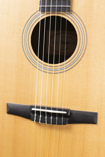 Taylor 214ce-N Nylon Grand Auditorium Acoustic/Electric Guitar with Gig Bag