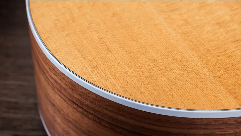 Taylor 214ce-N Nylon Grand Auditorium Acoustic/Electric Guitar with Gig Bag