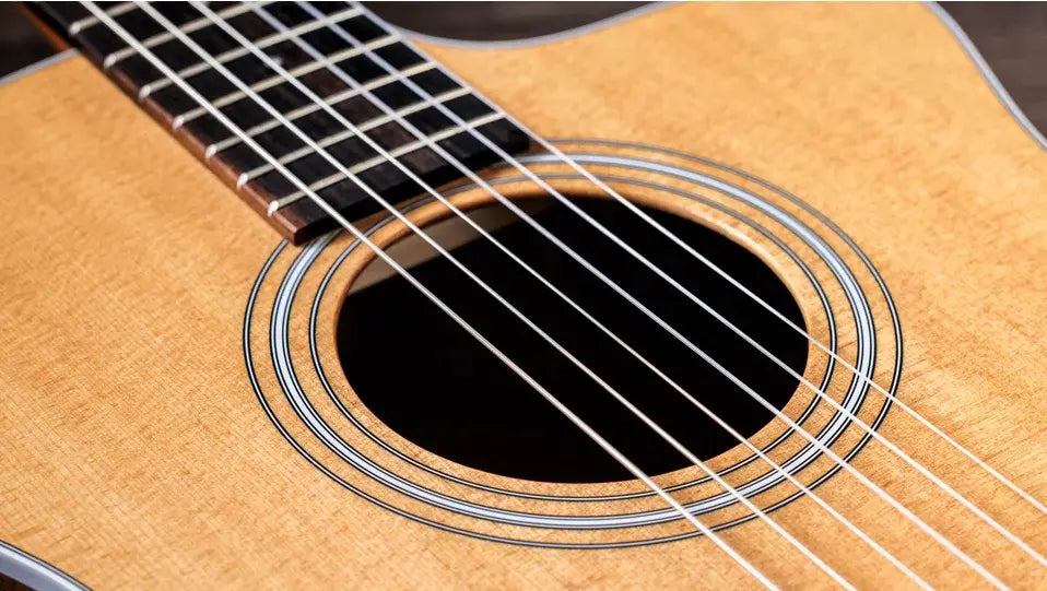 Taylor 214ce-N Nylon Grand Auditorium Acoustic/Electric Guitar with Gig Bag