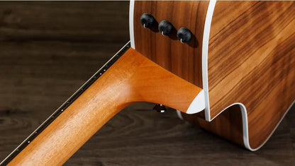 Taylor 214ce-N Nylon Grand Auditorium Acoustic/Electric Guitar with Gig Bag