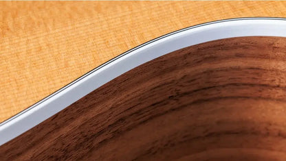 Taylor 214ce-N Nylon Grand Auditorium Acoustic/Electric Guitar with Gig Bag