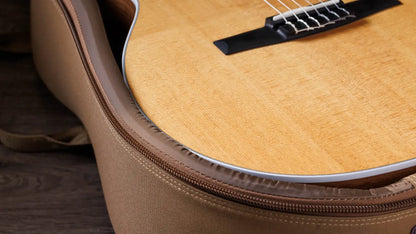 Taylor 214ce-N Nylon Grand Auditorium Acoustic/Electric Guitar with Gig Bag