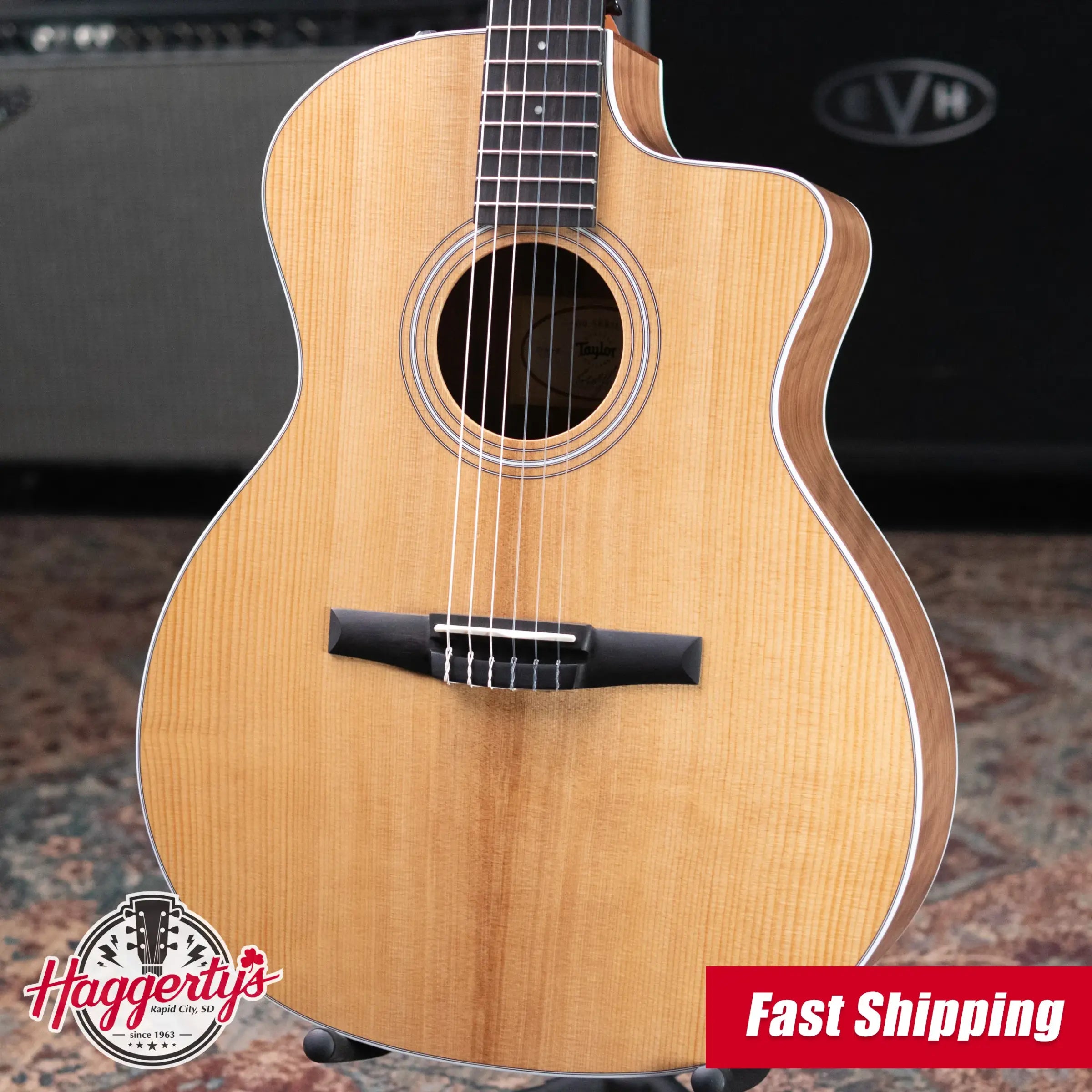 Taylor 214ce-N Nylon Grand Auditorium Acoustic/Electric Guitar with Gig Bag