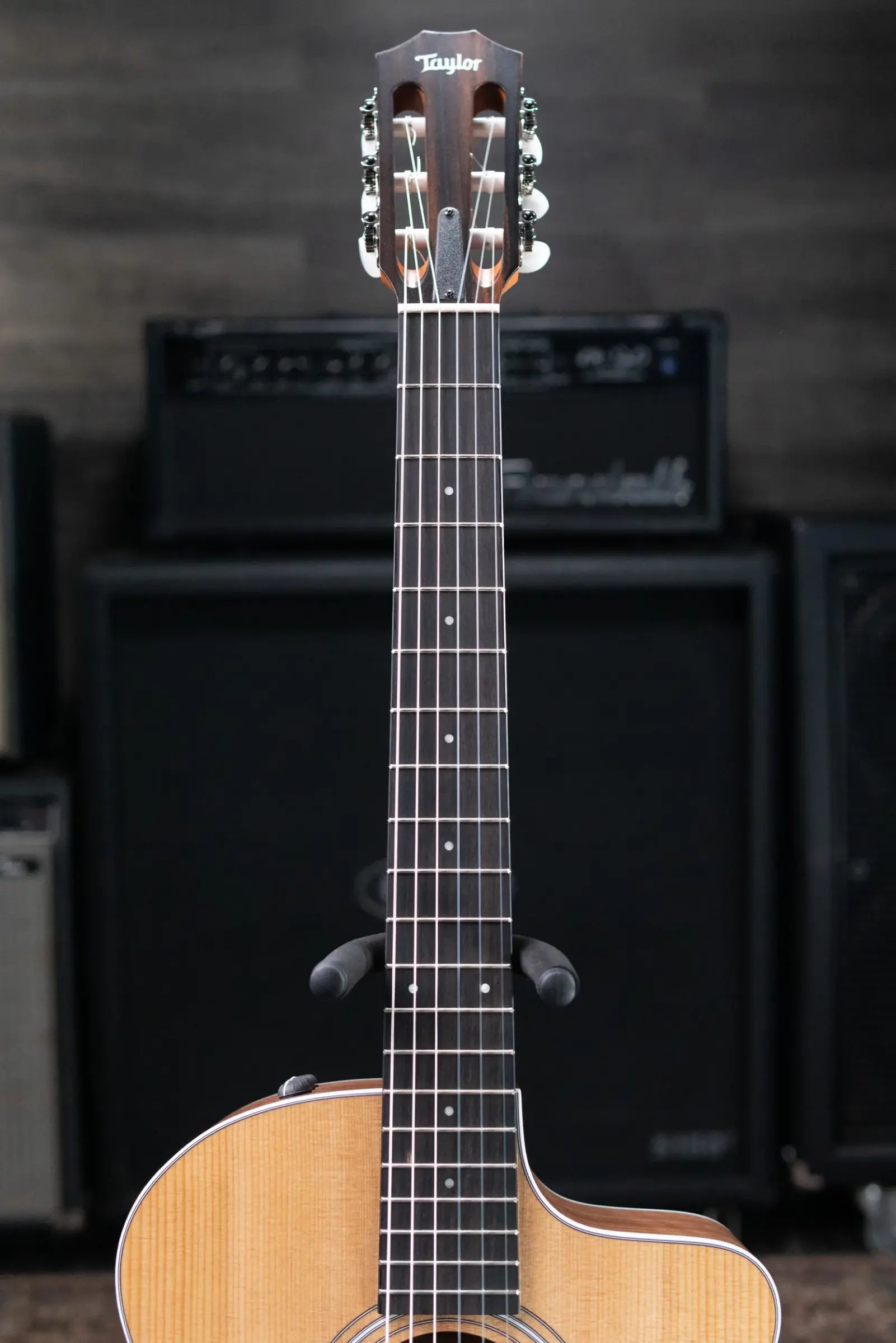 Taylor 214ce-N Nylon Grand Auditorium Acoustic/Electric Guitar with Gig Bag