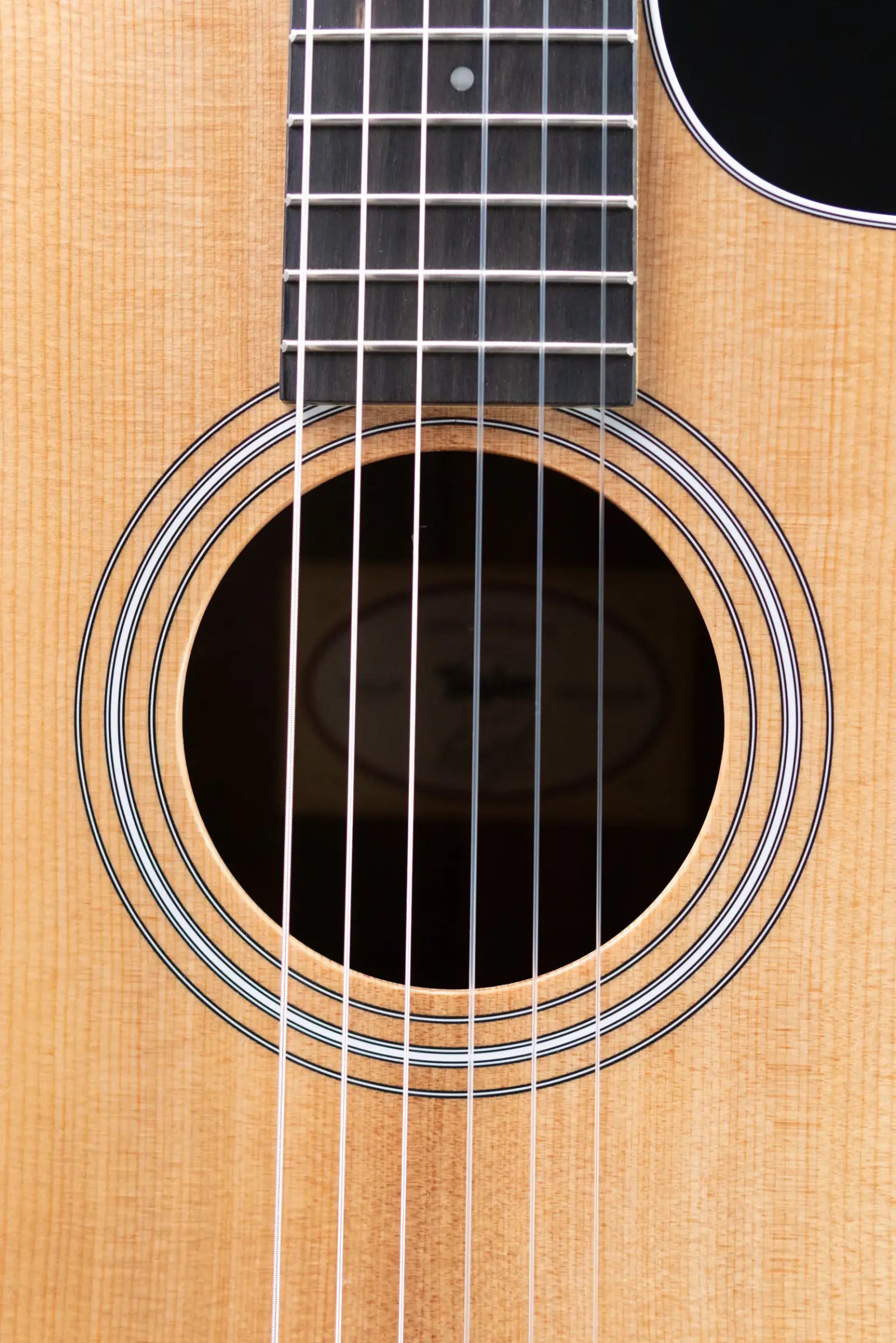 Taylor 214ce-N Nylon Grand Auditorium Acoustic/Electric Guitar with Gig Bag