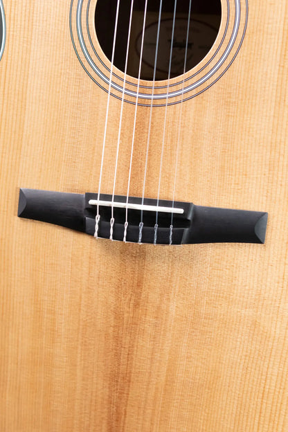 Taylor 214ce-N Nylon Grand Auditorium Acoustic/Electric Guitar with Gig Bag