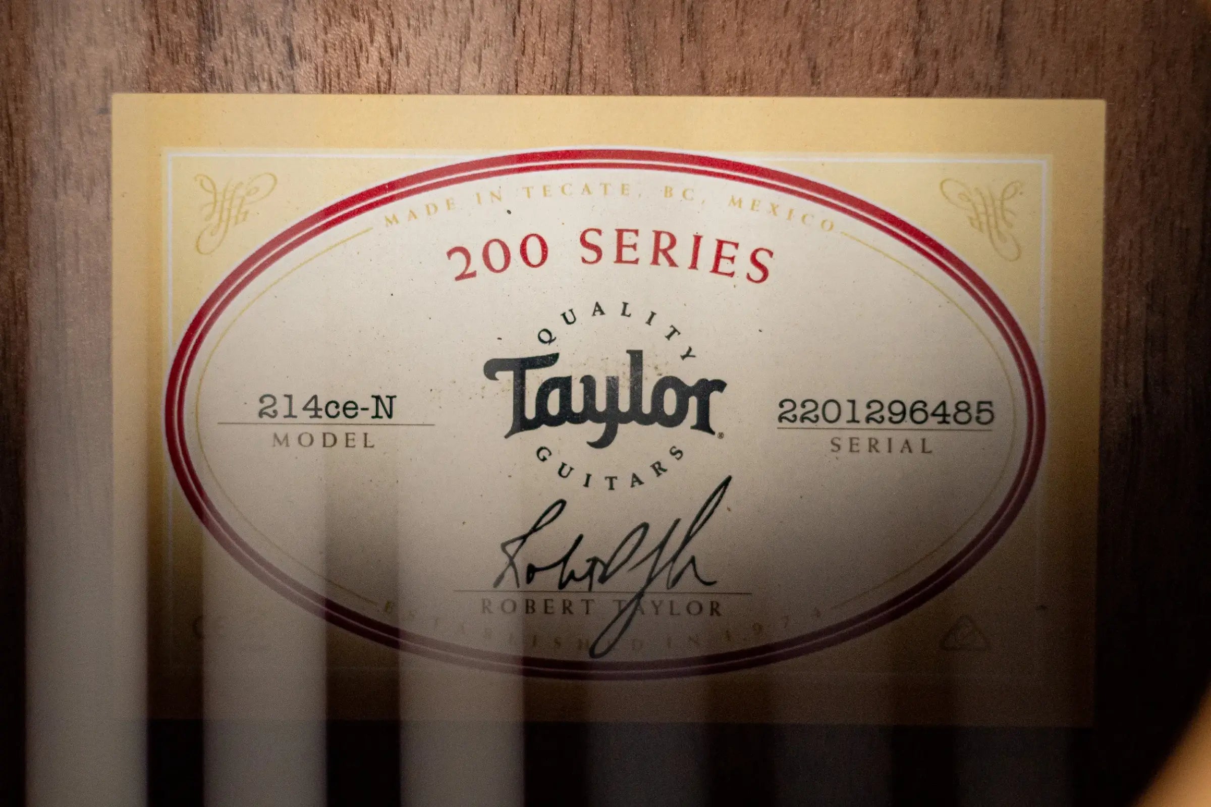 Taylor 214ce-N Nylon Grand Auditorium Acoustic/Electric Guitar with Gig Bag - Factory Demo