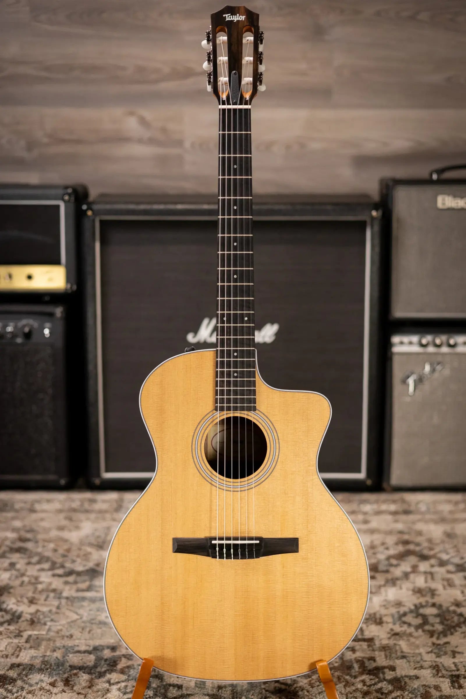 Taylor 214ce-N Nylon Grand Auditorium Acoustic/Electric Guitar with Gig Bag