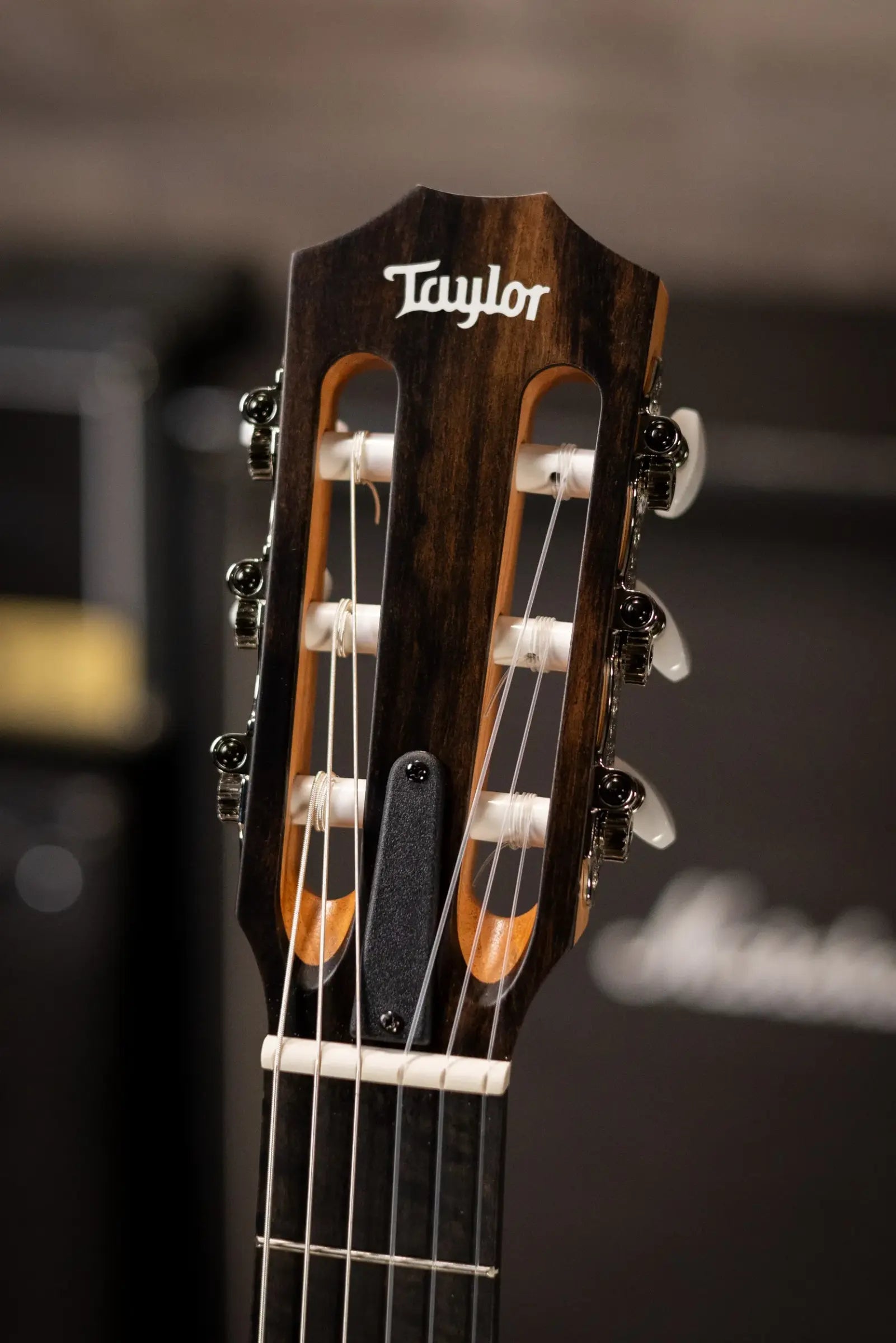 Taylor 214ce-N Nylon Grand Auditorium Acoustic/Electric Guitar with Gig Bag