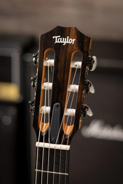 Taylor 214ce-N Nylon Grand Auditorium Acoustic/Electric Guitar with Gig Bag