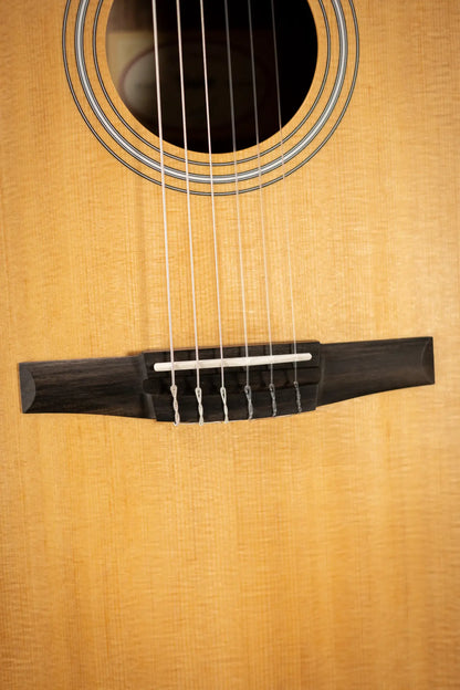 Taylor 214ce-N Nylon Grand Auditorium Acoustic/Electric Guitar with Gig Bag