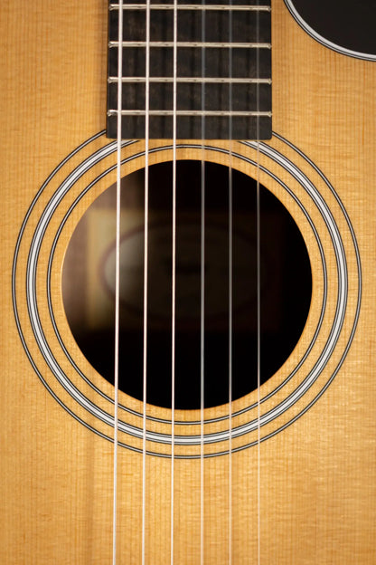 Taylor 214ce-N Nylon Grand Auditorium Acoustic/Electric Guitar with Gig Bag