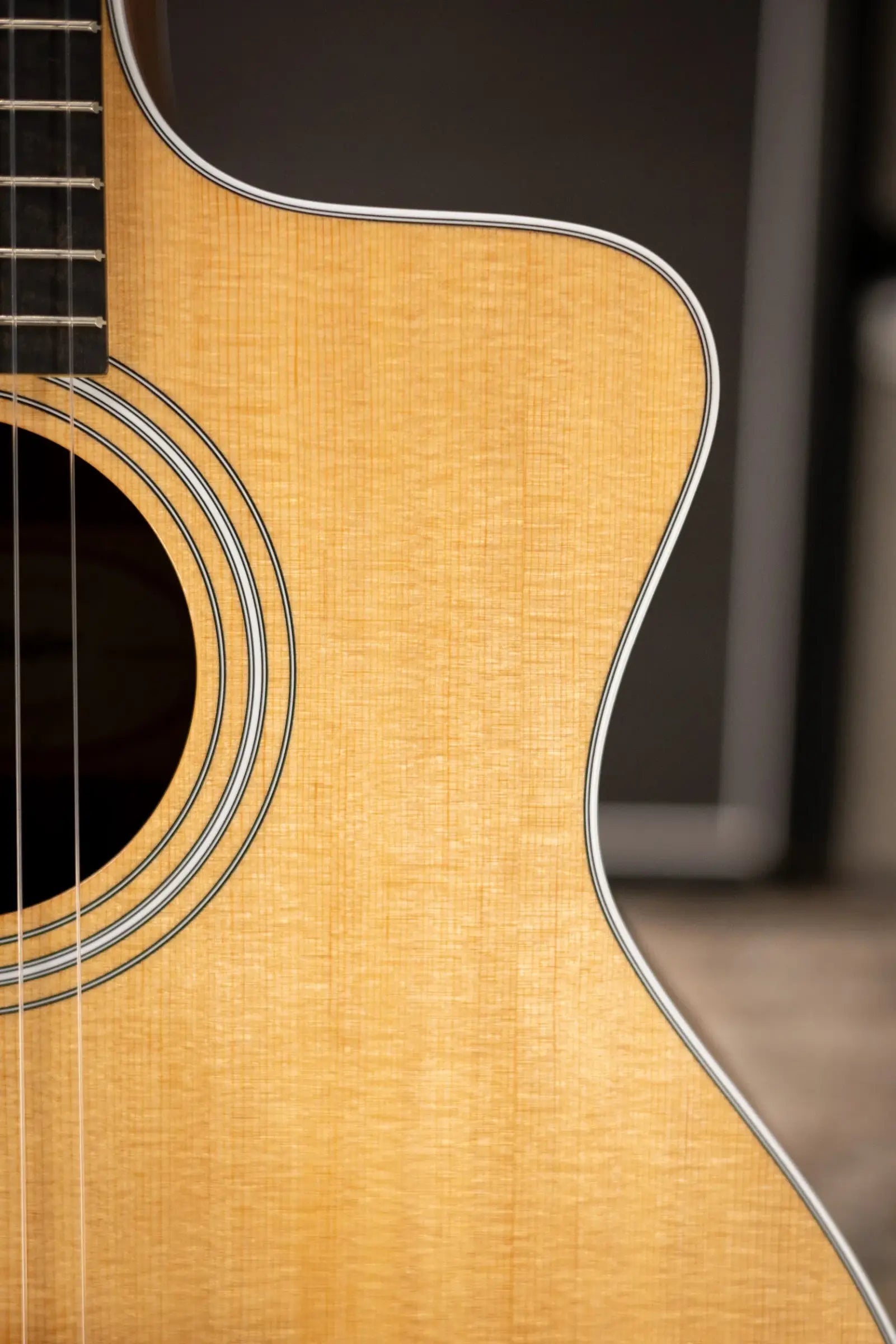 Taylor 214ce-N Nylon Grand Auditorium Acoustic/Electric Guitar with Gig Bag