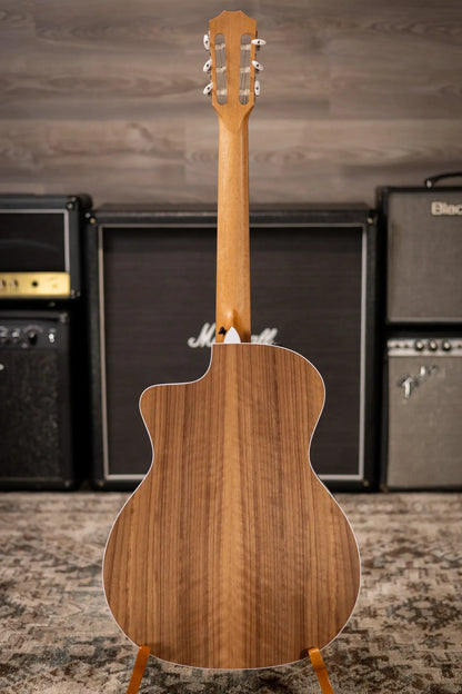 Taylor 214ce-N Nylon Grand Auditorium Acoustic/Electric Guitar with Gig Bag