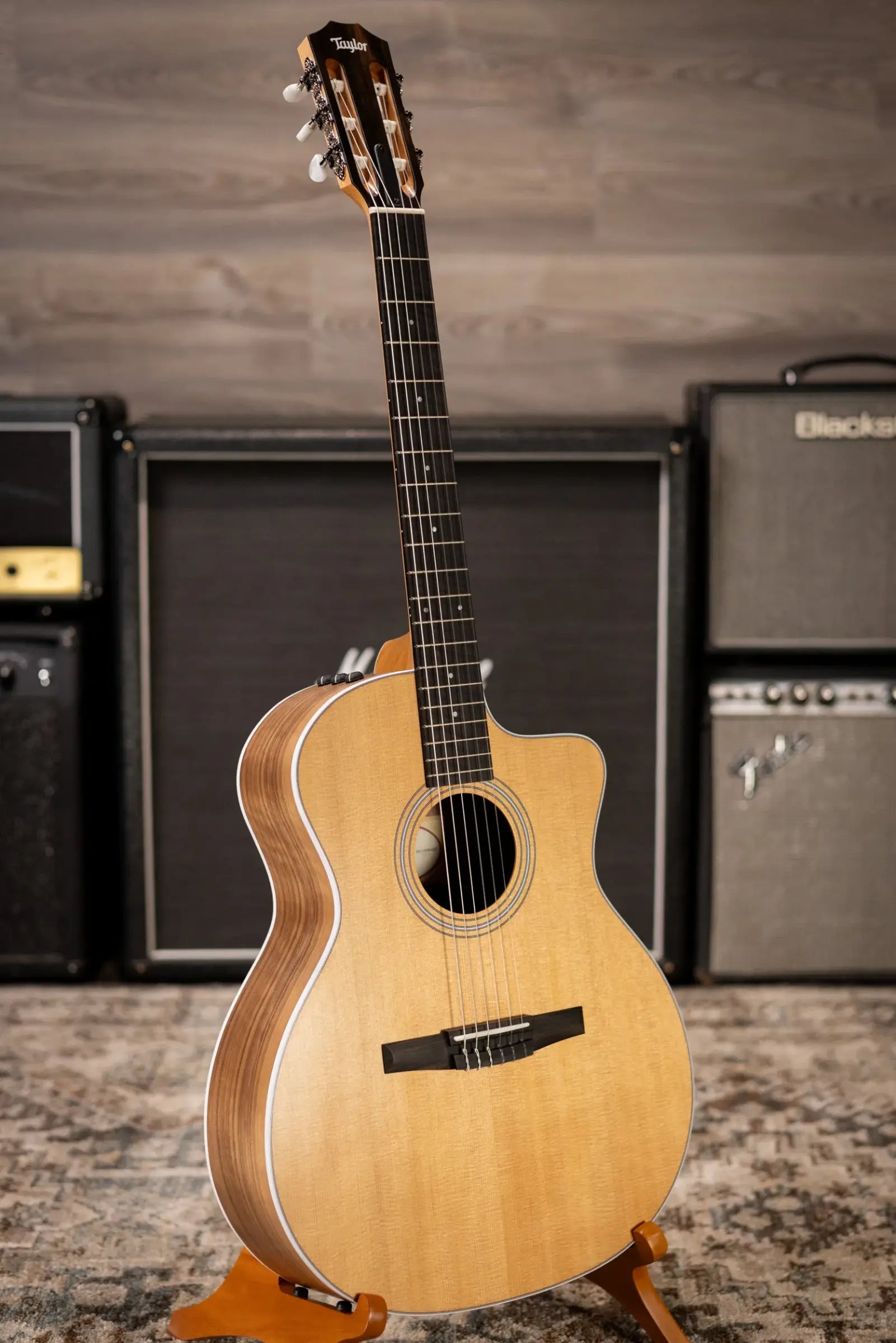 Taylor 214ce-N Nylon Grand Auditorium Acoustic/Electric Guitar with Gig Bag