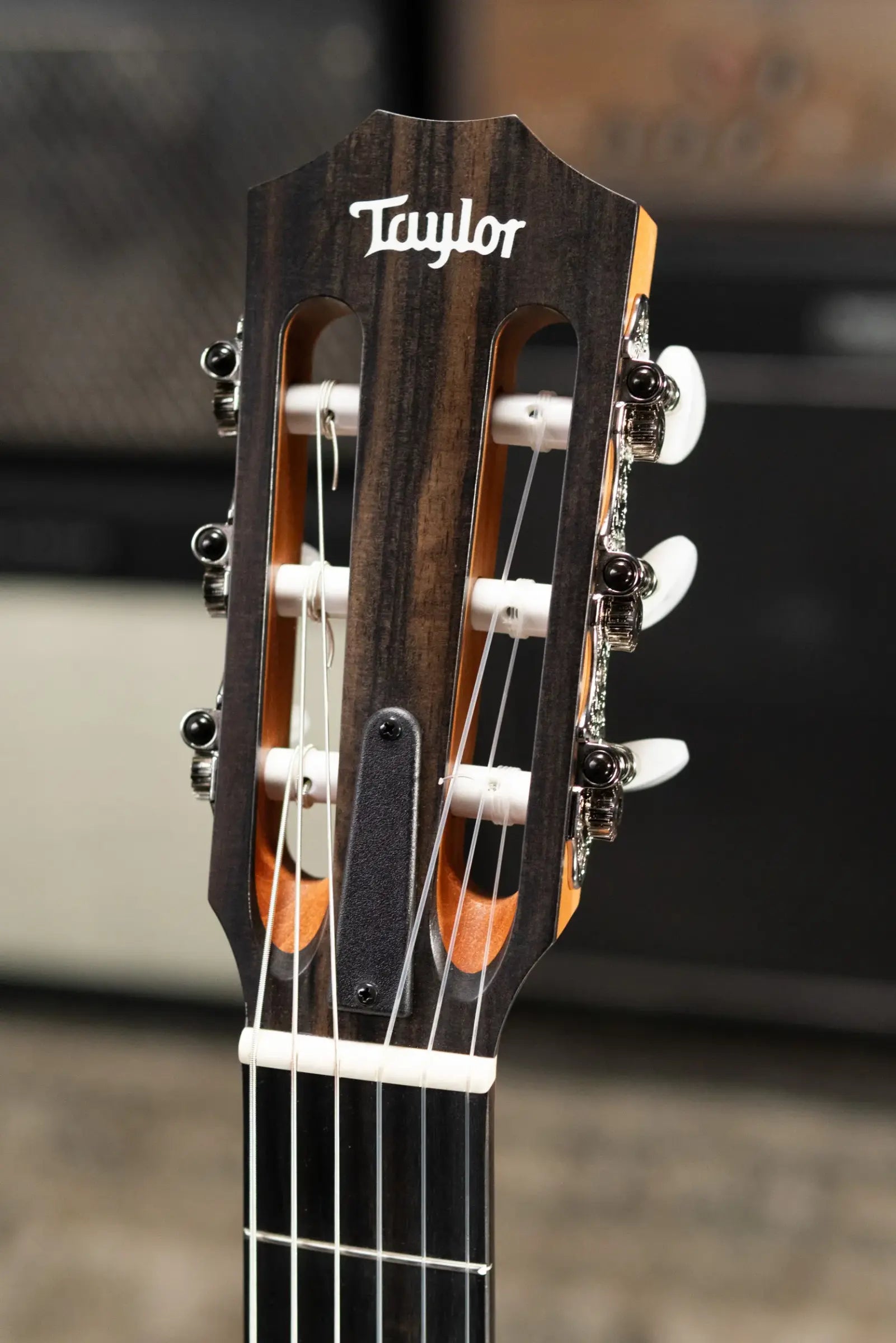 Taylor 214ce-N Nylon Grand Auditorium Acoustic/Electric Guitar with Gig Bag
