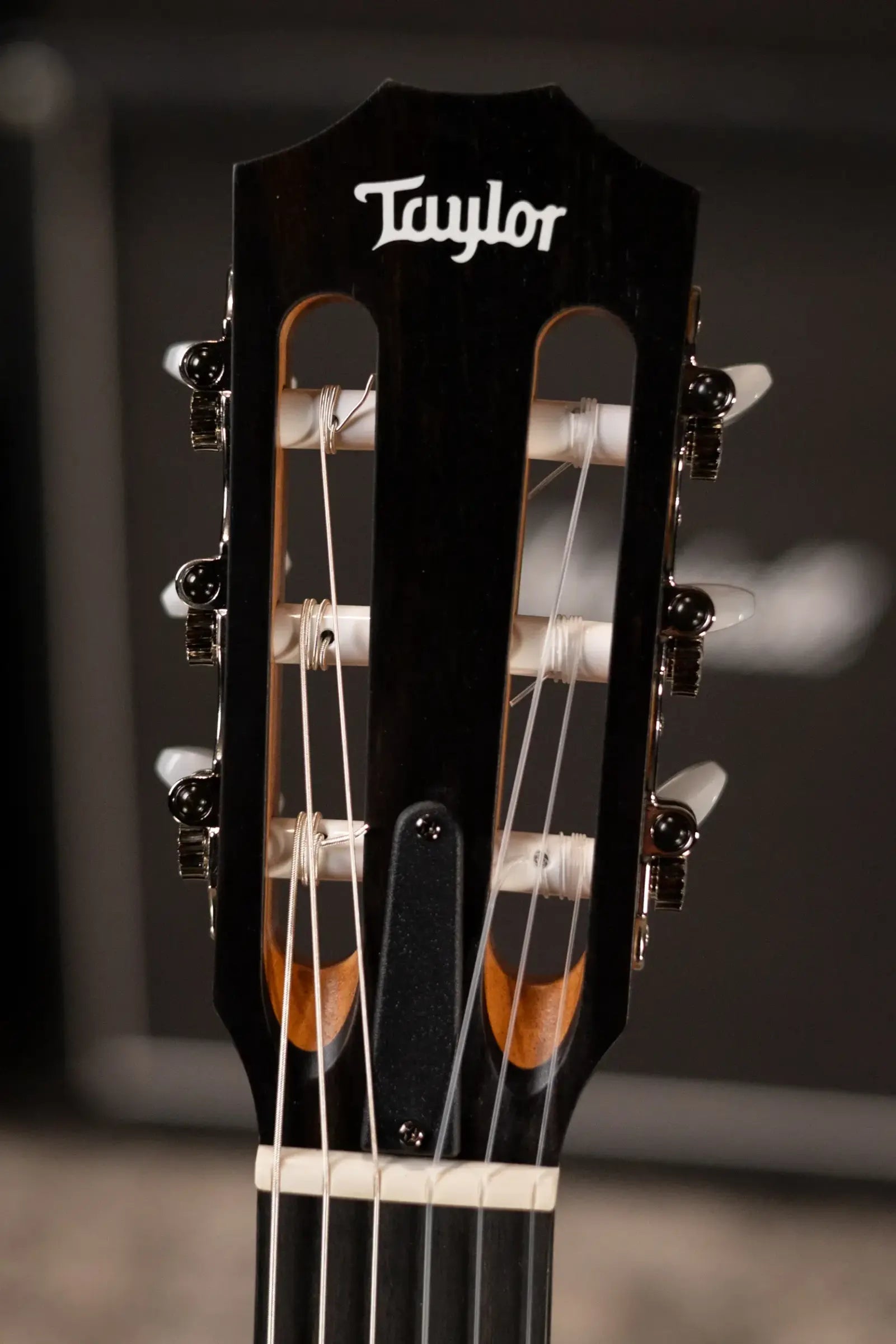 Taylor 214ce-N Nylon Grand Auditorium Acoustic/Electric Guitar with Gig Bag