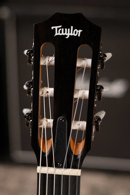 Taylor 214ce-N Nylon Grand Auditorium Acoustic/Electric Guitar with Gig Bag