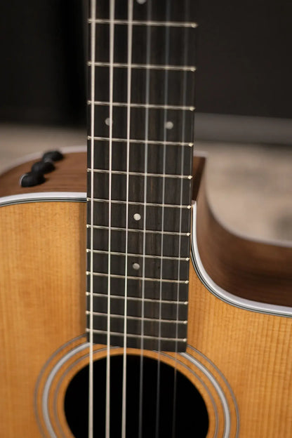 Taylor 214ce-N Nylon Grand Auditorium Acoustic/Electric Guitar with Gig Bag