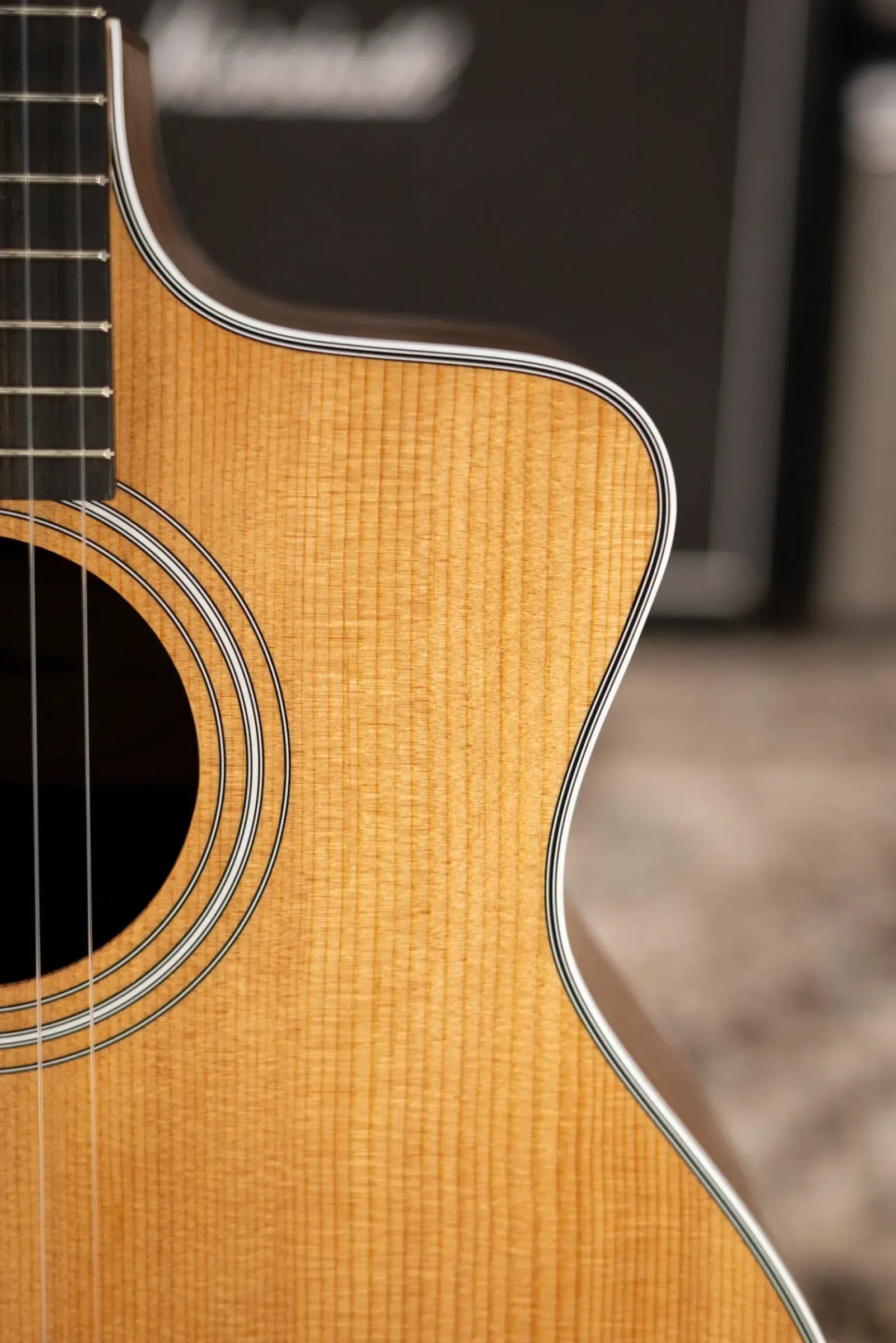 Taylor 214ce-N Nylon Grand Auditorium Acoustic/Electric Guitar with Gig Bag