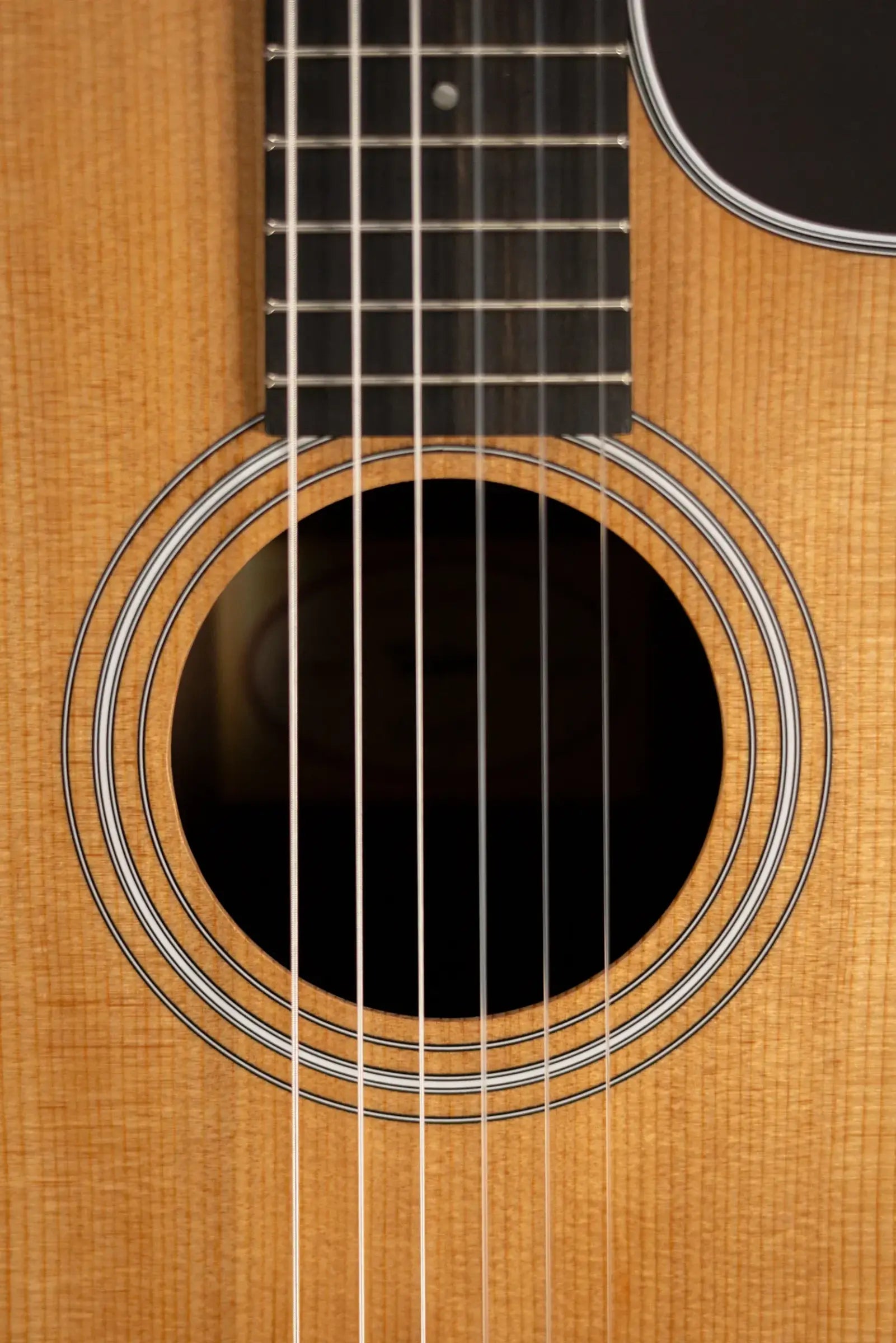 Taylor 214ce-N Nylon Grand Auditorium Acoustic/Electric Guitar with Gig Bag