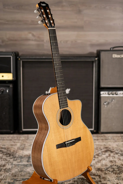 Taylor 214ce-N Nylon Grand Auditorium Acoustic/Electric Guitar with Gig Bag
