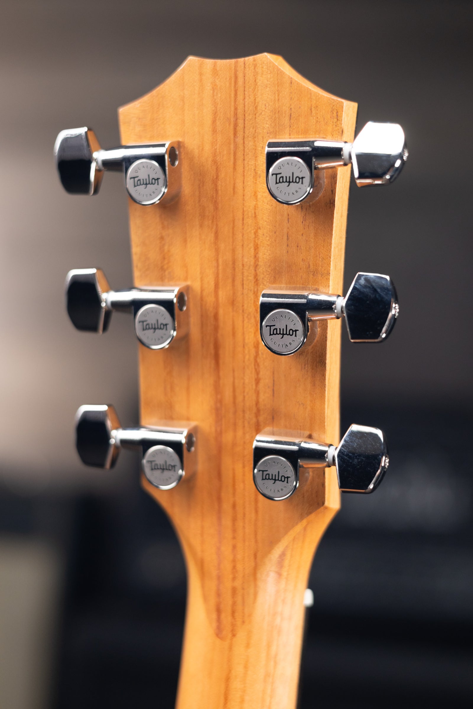 Taylor 214ce Plus Acoustic-Electric Guitar with Aerocase - Used