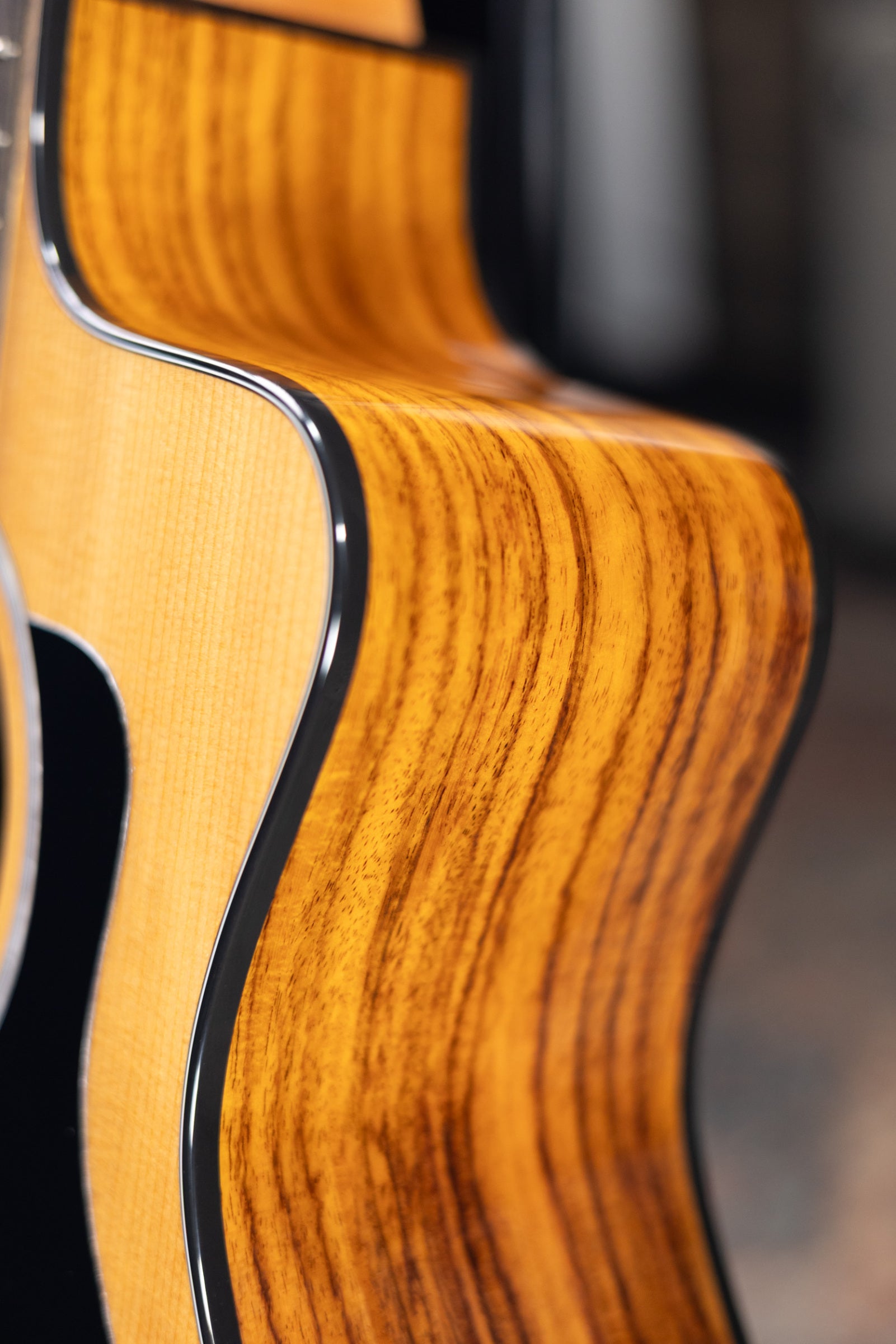 Taylor 214ce Plus Acoustic-Electric Guitar with Aerocase - Used