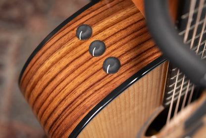 Taylor 214ce Plus Grand Auditorium Acoustic/Electric Guitar with Aerocase