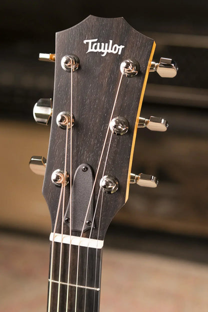 Taylor 214ce Plus Grand Auditorium Acoustic/Electric Guitar with Aerocase