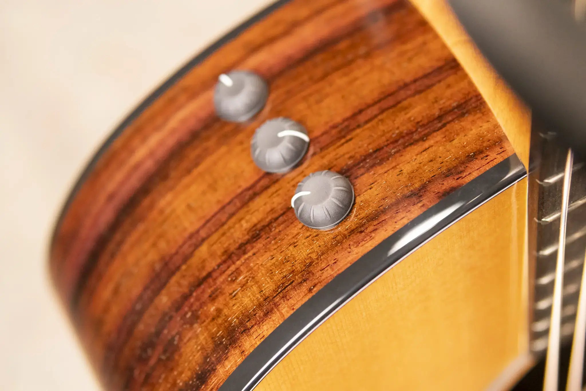 Taylor 214ce Plus Grand Auditorium Acoustic/Electric Guitar with Aerocase