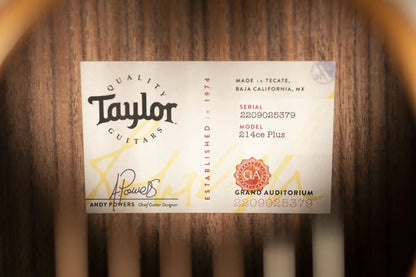 Taylor 214ce Plus Grand Auditorium Acoustic/Electric Guitar with Aerocase