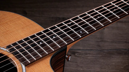 Taylor 214ce Plus Grand Auditorium Acoustic/Electric Guitar with Aerocase