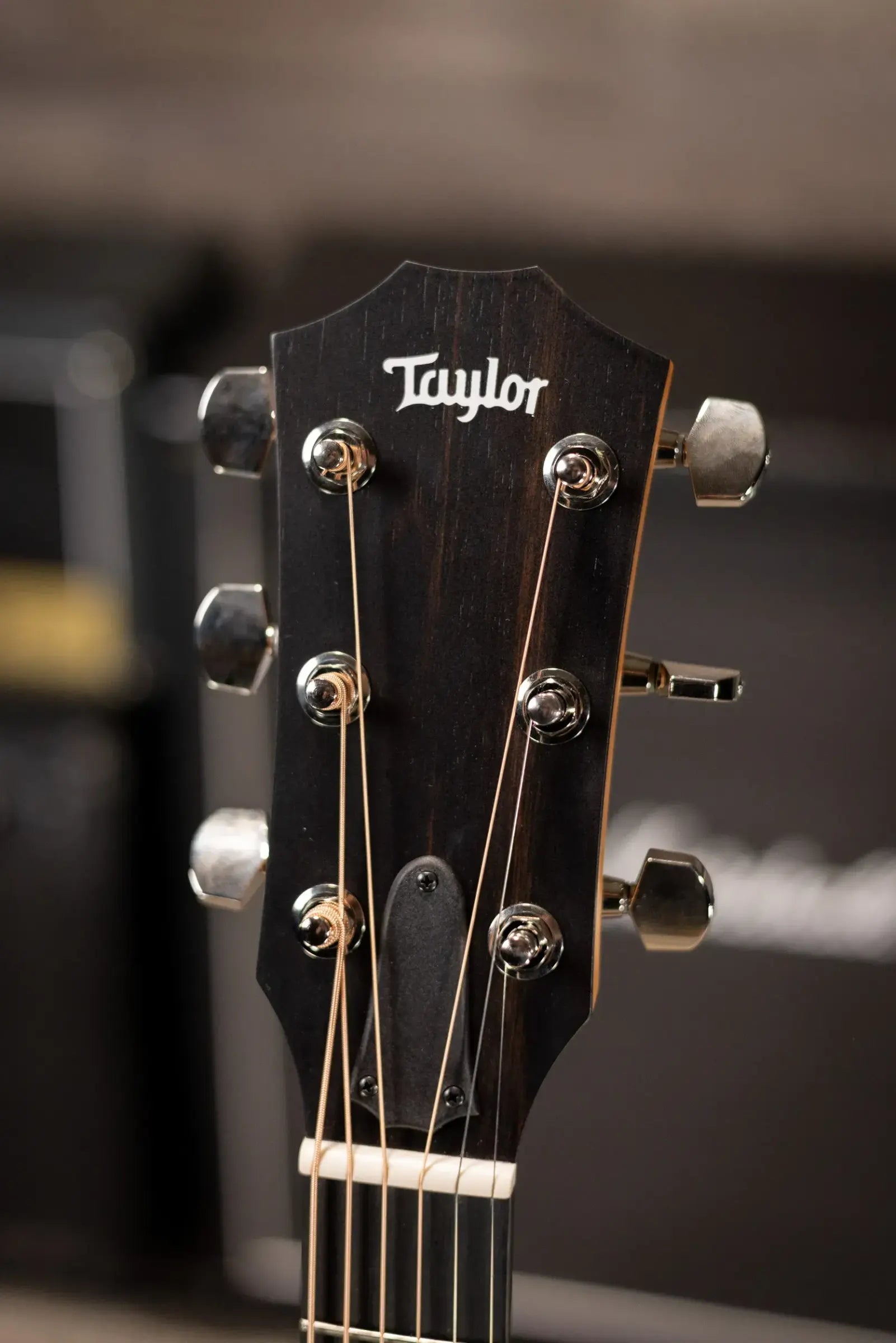 Taylor 214ce Plus Grand Auditorium Acoustic/Electric Guitar with Aerocase