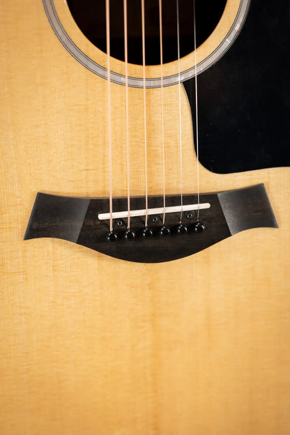 Taylor 214ce Plus Grand Auditorium Acoustic/Electric Guitar with Aerocase